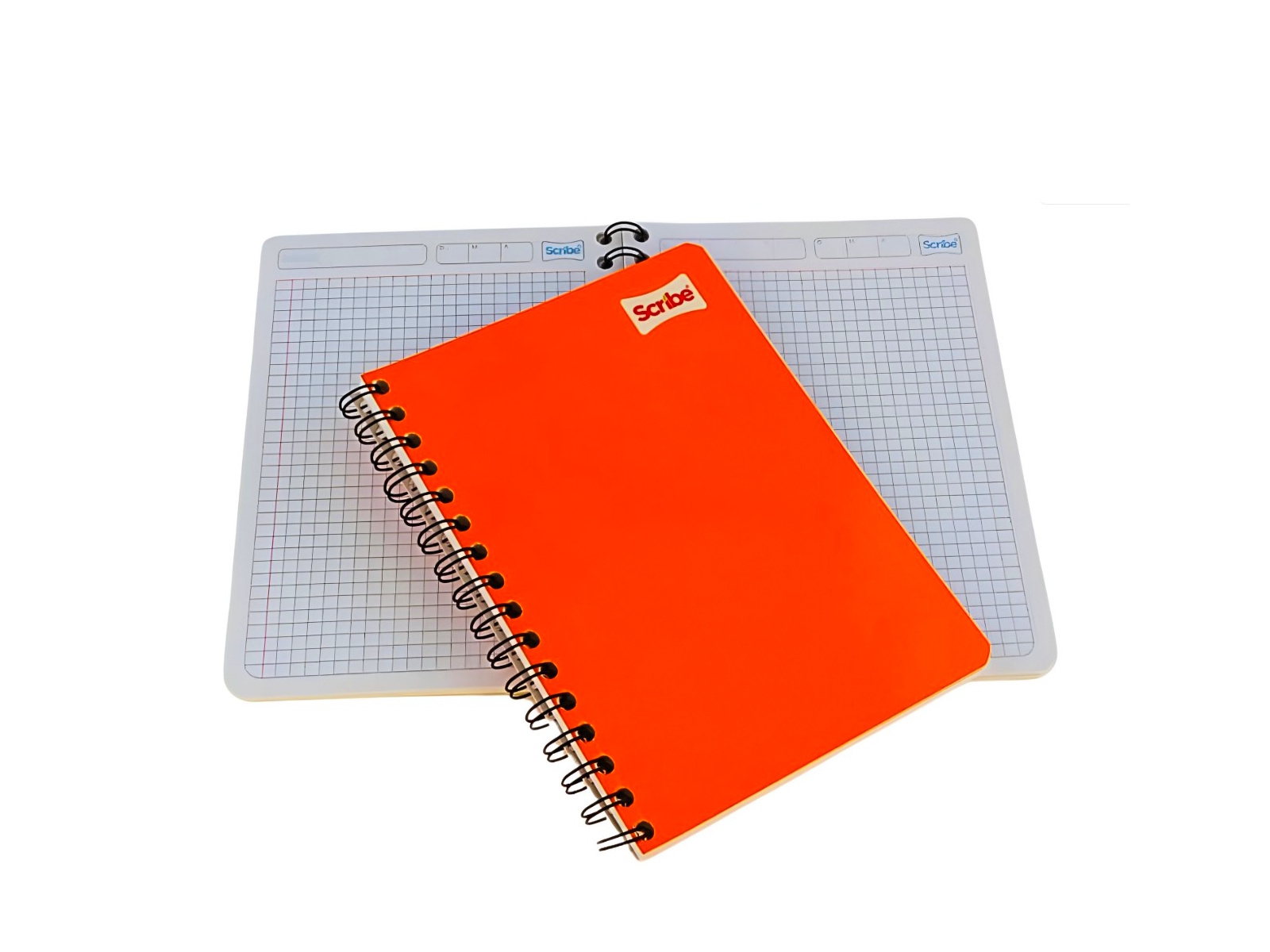 CUADERNO F/FRANCESA CLASICO ESPIRAL 5MM 100H W1602 SCRIBE   