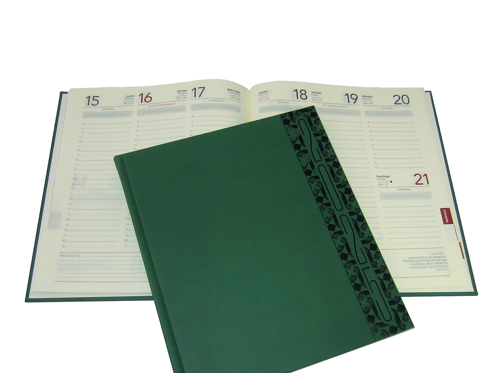AGENDA EJECUTIVA 20X23 A-33 VERDE 2025 AVANTE               