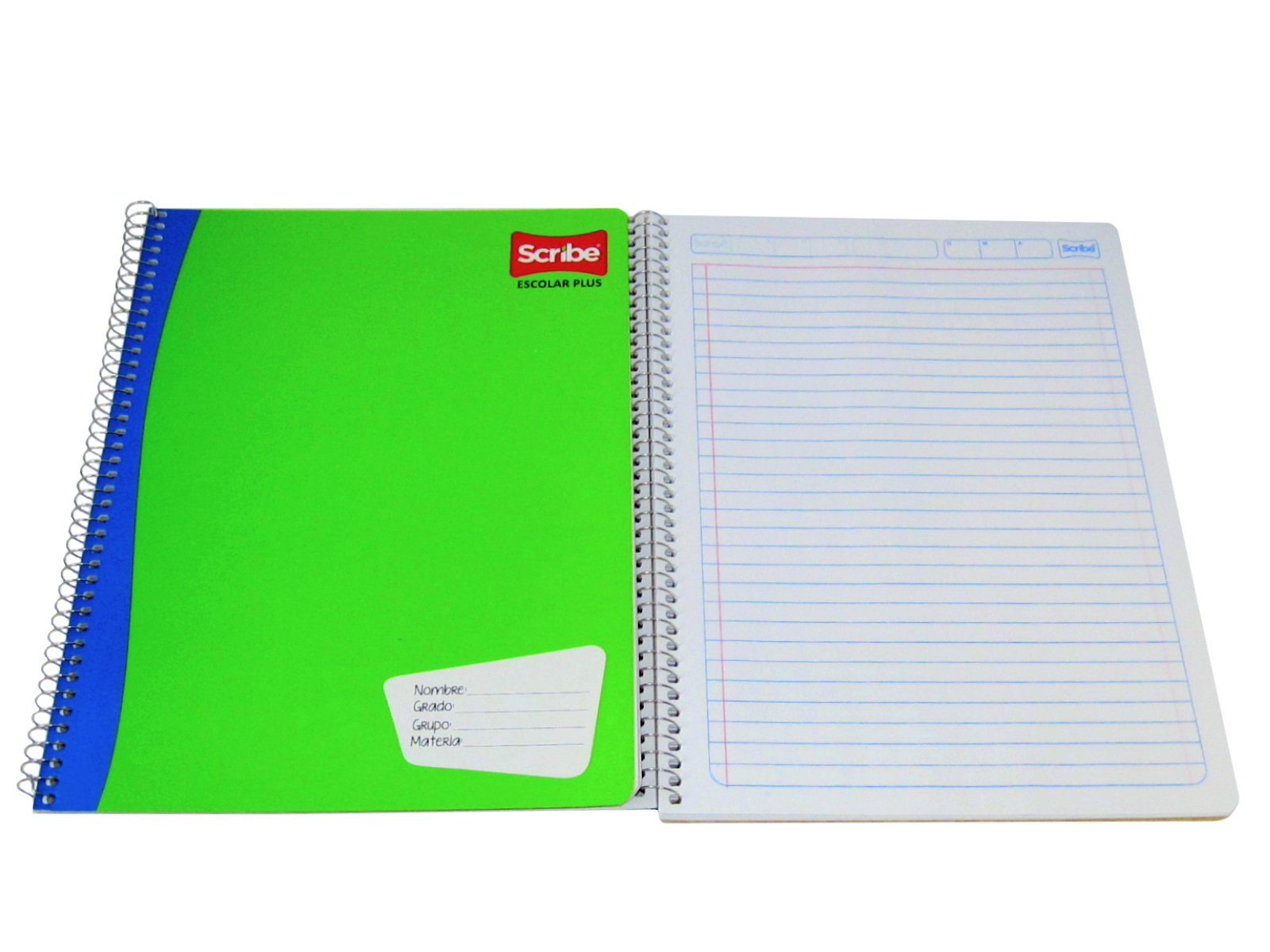 CUADERNO PROF CLASICO 100 HJS RAYA 2970 (7970) SCRIBE       