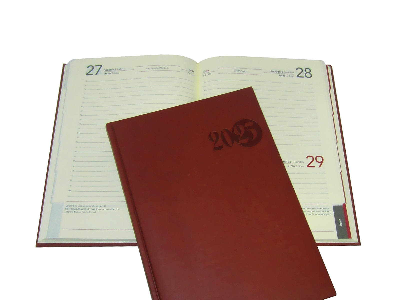 AGENDA ESPAÑOLA TUCSON 17X24 A-51 MARRON 2025 AVANTE        