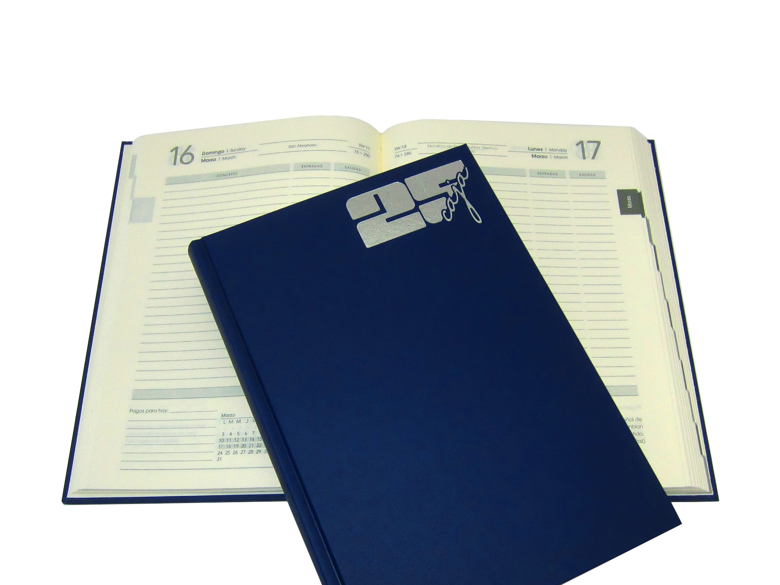 AGENDA CAJA POTOSIANO 15X21 AZUL 2025 AVANTE                